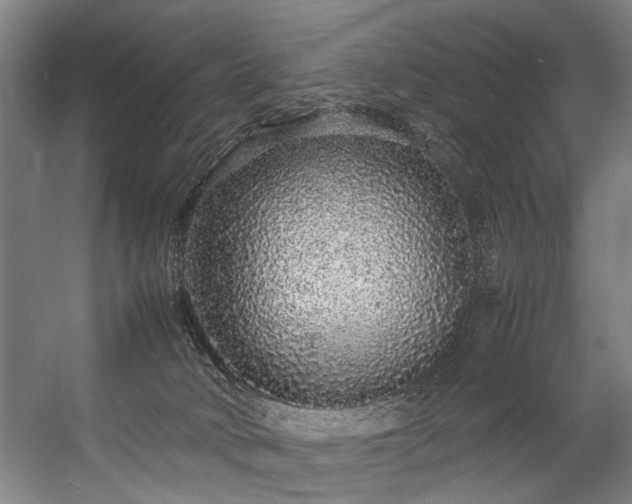 X0000057100034200509121020