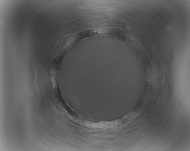 X0000057100036200509121020