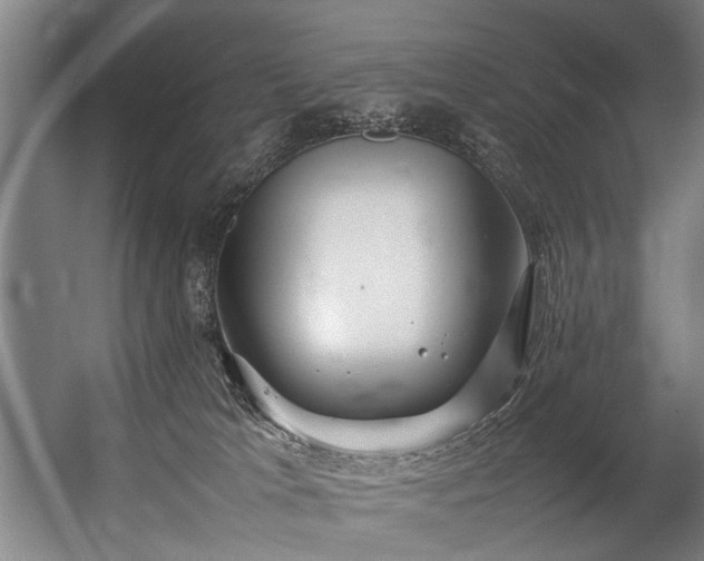 X0000057100037200509121020