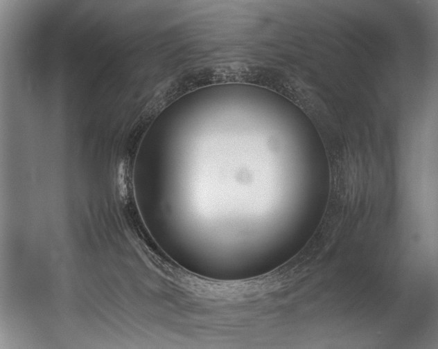 X0000057100038200509121020