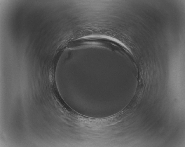 X0000057100039200509121019