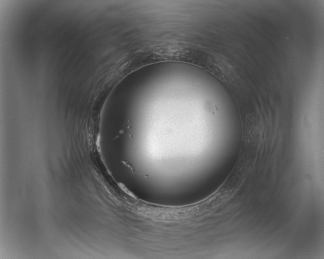 X0000057100040200509121019