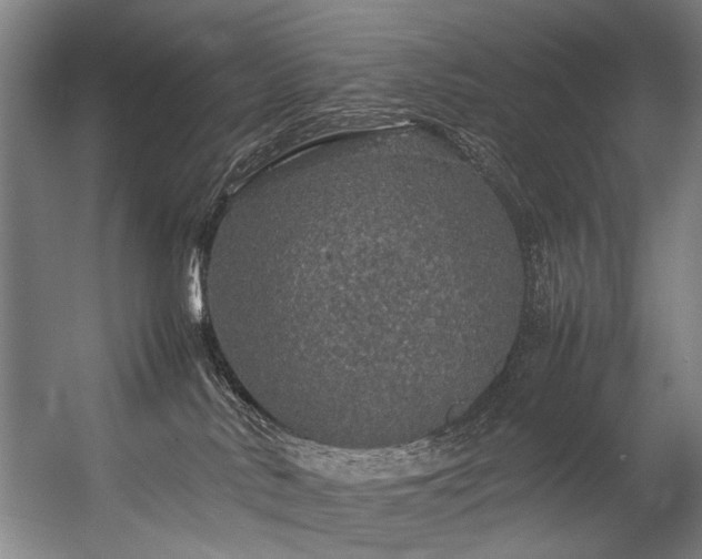 X0000057100042200509121019