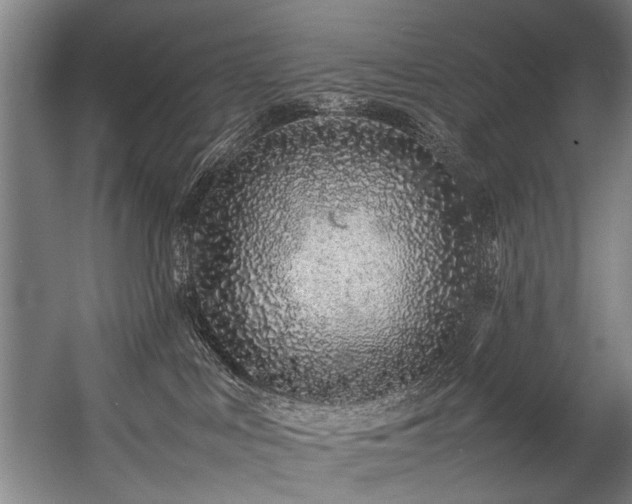 X0000057100043200509121019