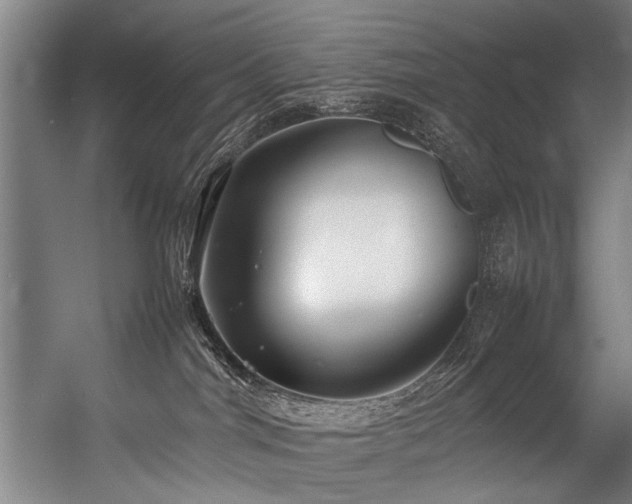 X0000057100044200509121019