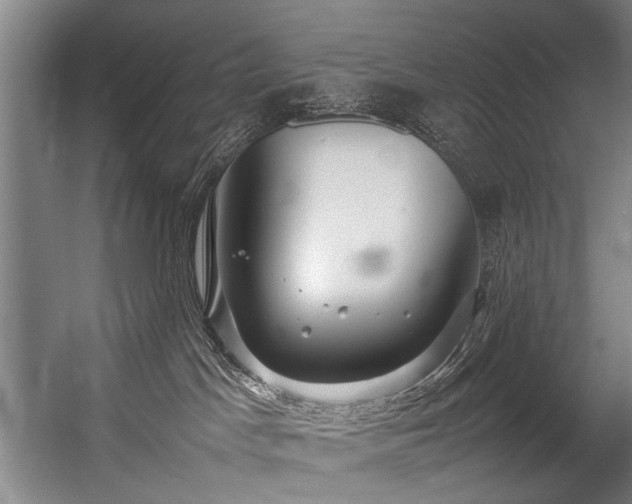 X0000057100045200509121019