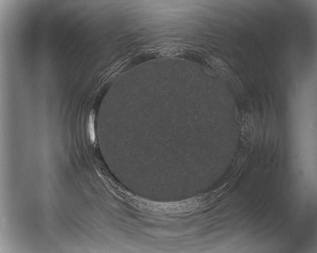 X0000057100046200509121019