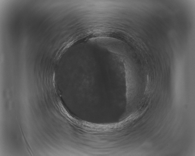 X0000057100048200509121019