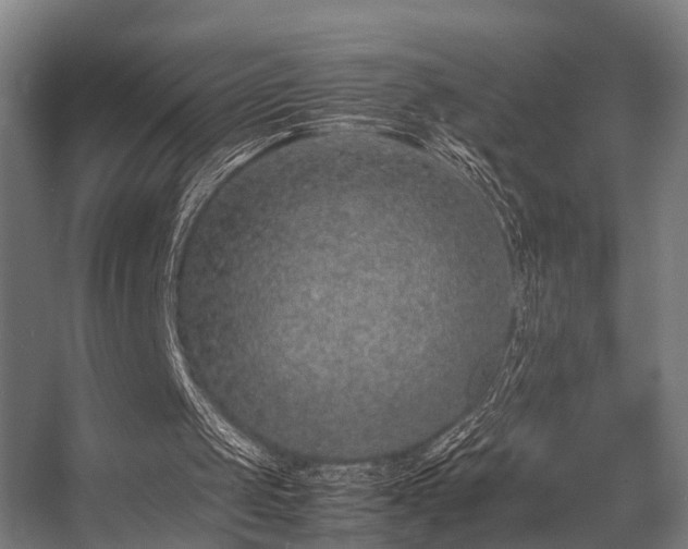 X0000057100049200509121019