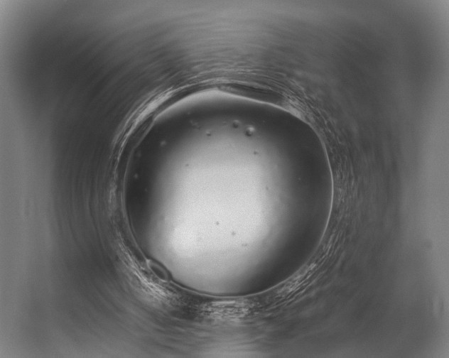 X0000057100050200509121019