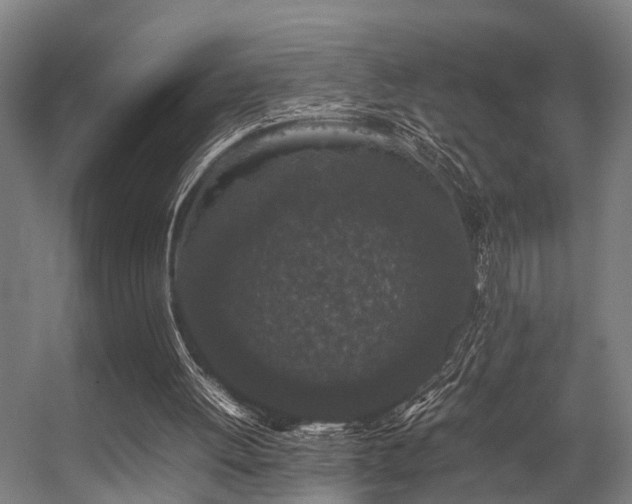 X0000057100052200509121019