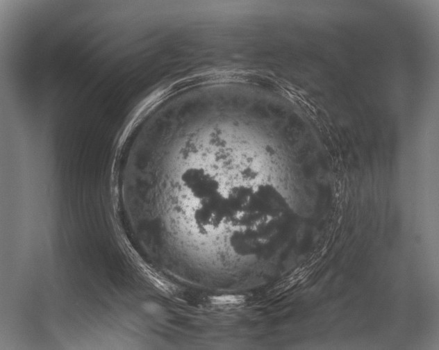 X0000057100053200509121019