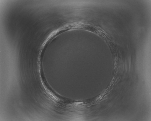 X0000057100054200509121019