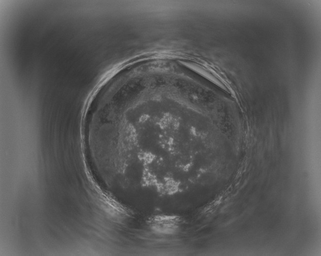 X0000057100055200509121019