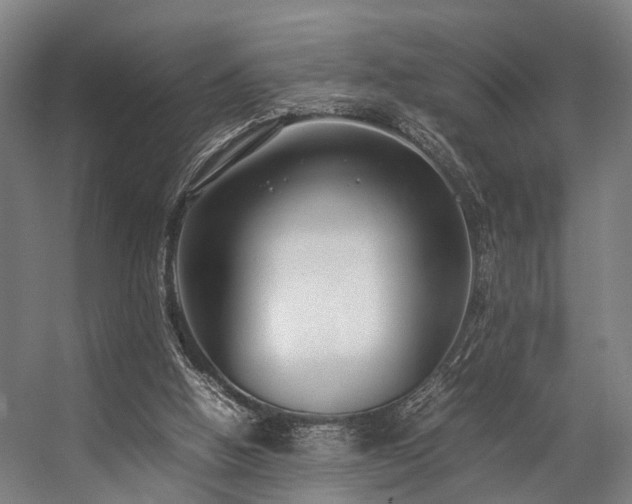 X0000057100058200509121019