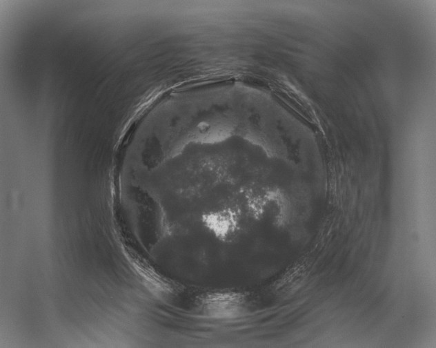 X0000057100059200509121019