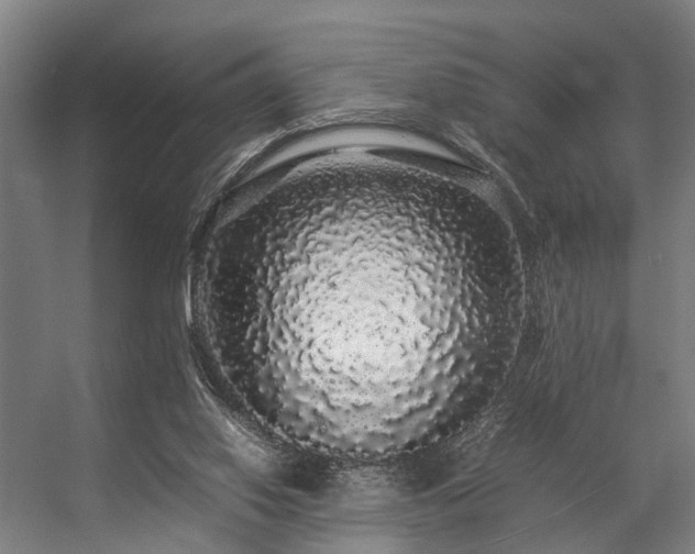 X0000057100062200509121019