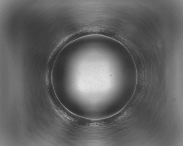 X0000057100064200509121019