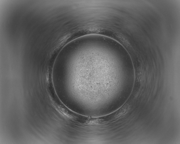 X0000057100072200509121019