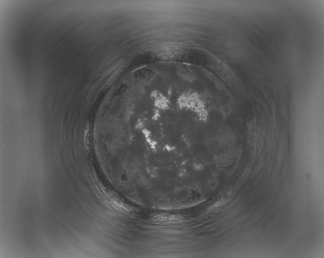 X0000057100073200509121019