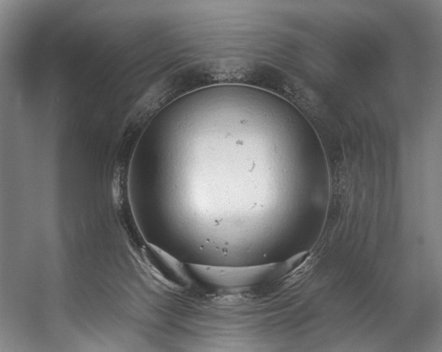 X0000057100074200509121019