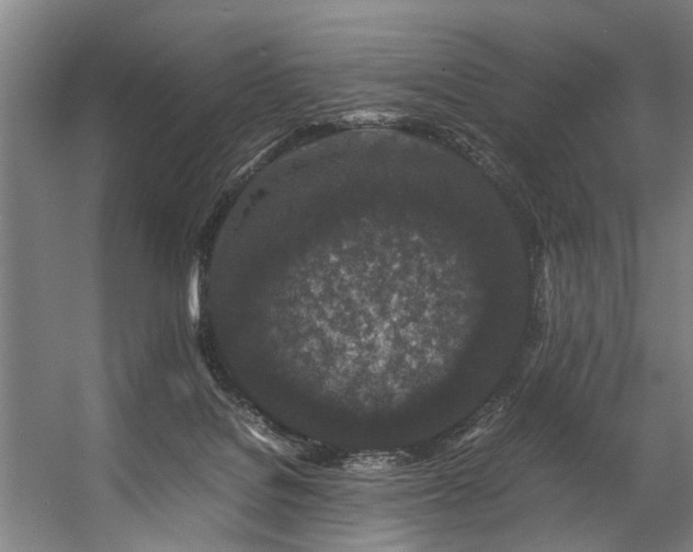 X0000057100076200509121019