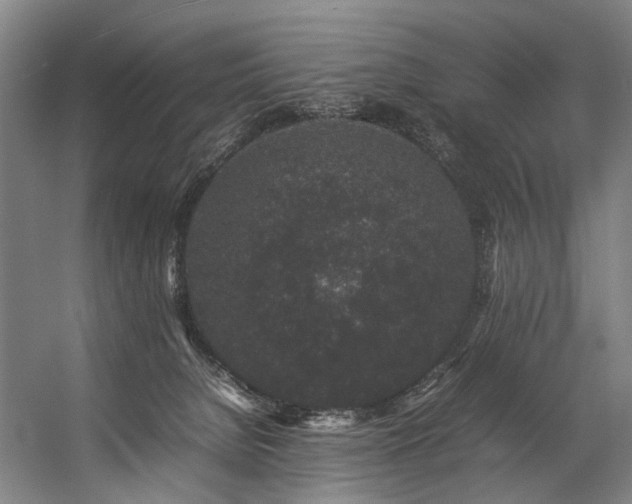 X0000057100080200509121019