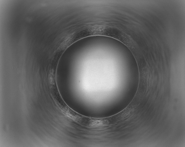 X0000057100083200509121019