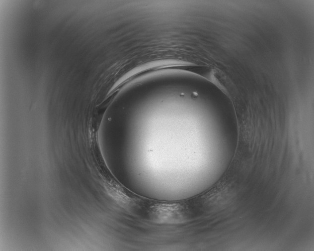 X0000057100085200509121019