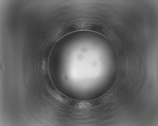 X0000057100087200509121019