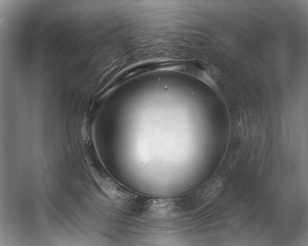 X0000057100088200509121019