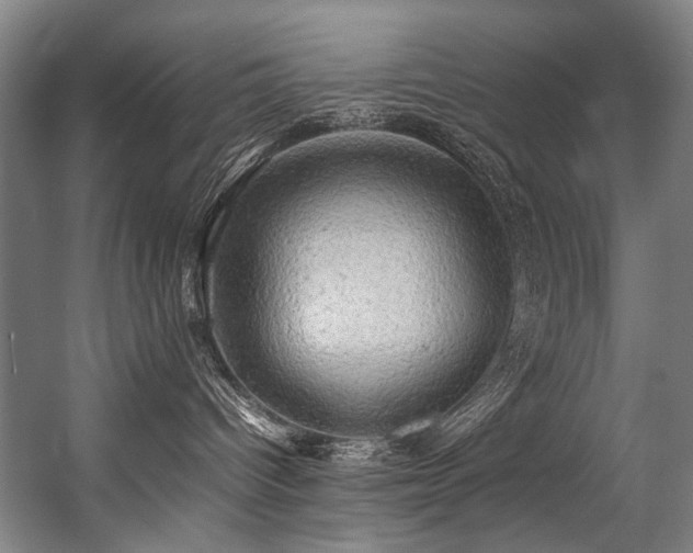 X0000057100096200509121019