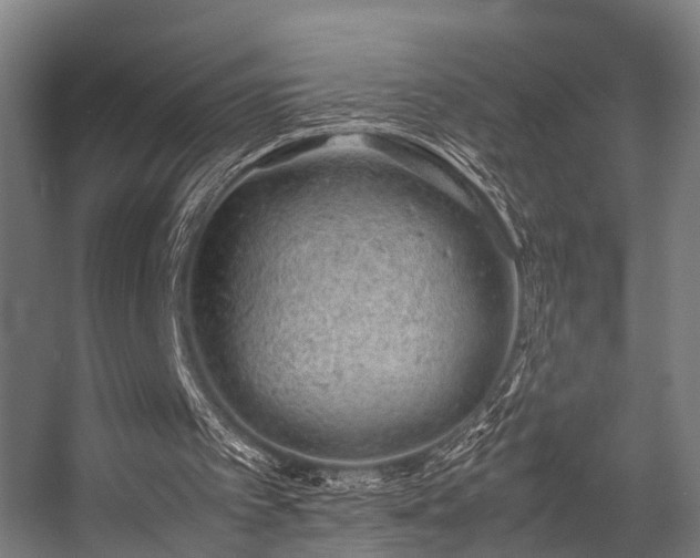 X0000057100097200509121019