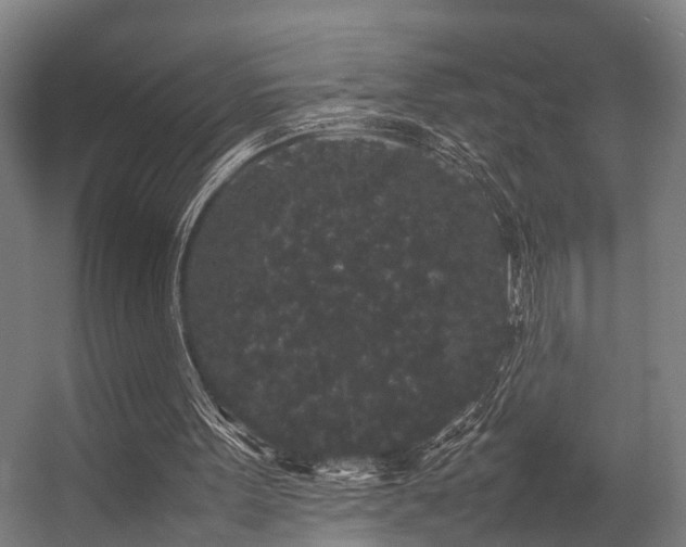 X0000057100099200509121018