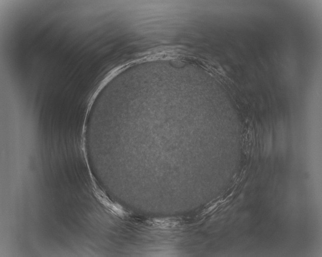 X0000057100100200509121018