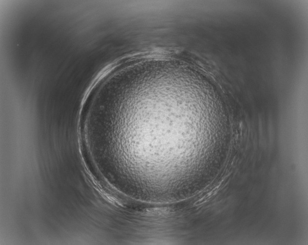 X0000057100102200509121018