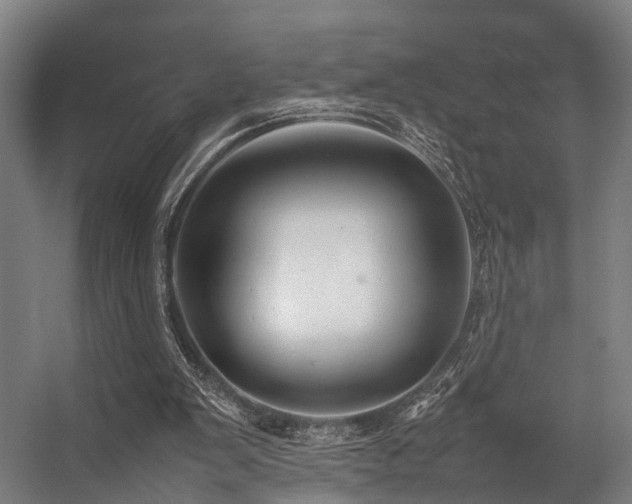 X0000057100103200509121018