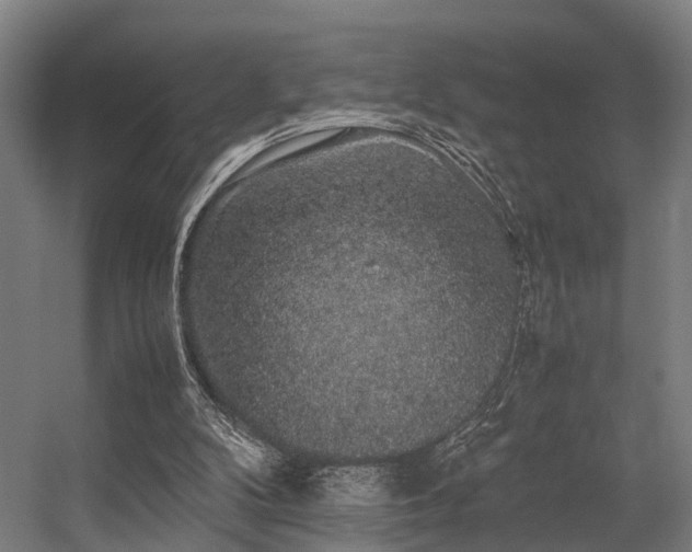 X0000057100104200509121018