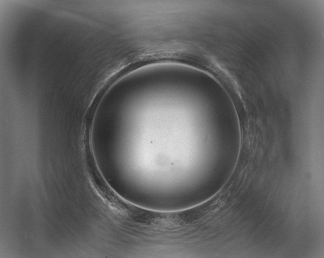 X0000057100107200509121018