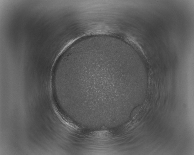 X0000057100108200509121018