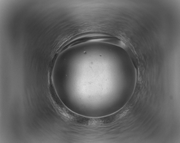 X0000057100109200509121018