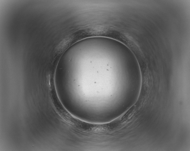 X0000057100115200509121018