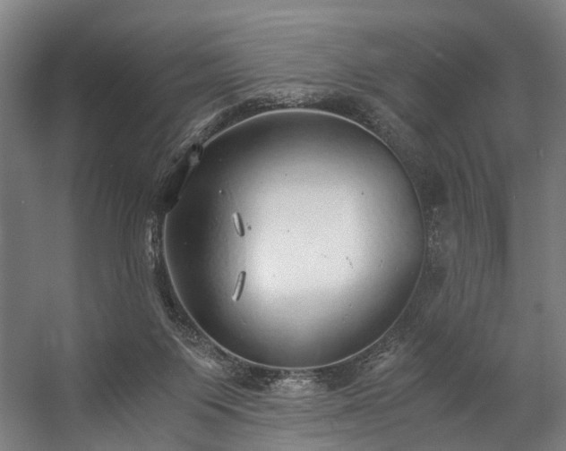 X0000057100119200509121018