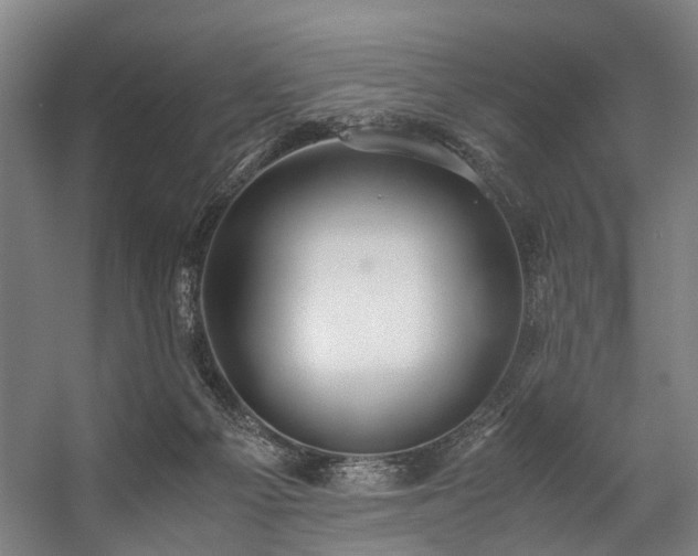 X0000057100121200509121018