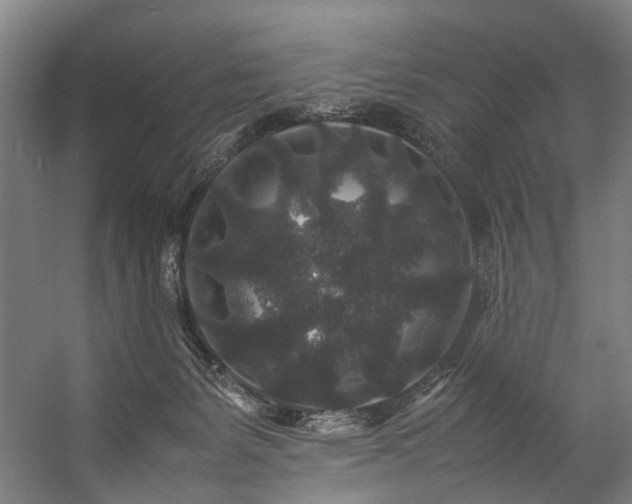 X0000057100127200509121018