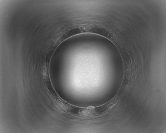 X0000057100129200509121018