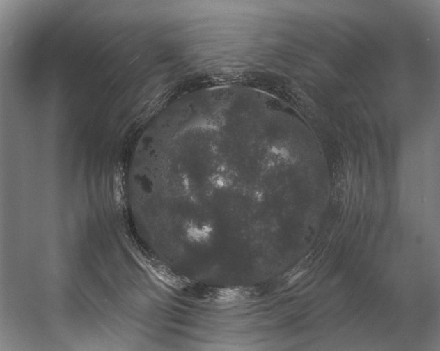 X0000057100130200509121018