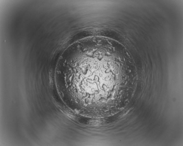 X0000057100131200509121018