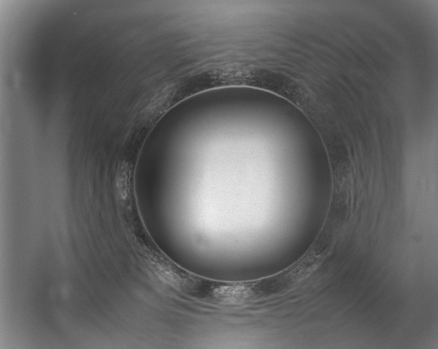 X0000057100133200509121018