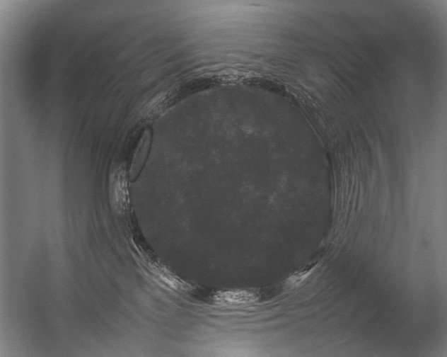 X0000057100137200509121018